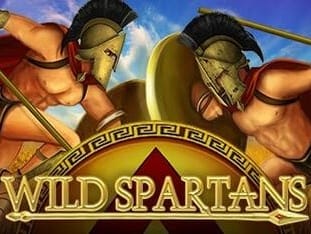 Wild Spartans game cover